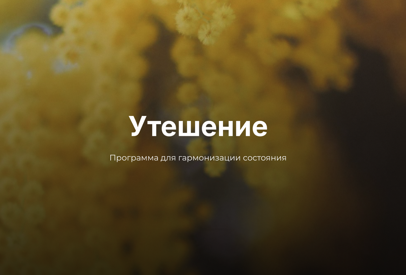 Утешение | 79€